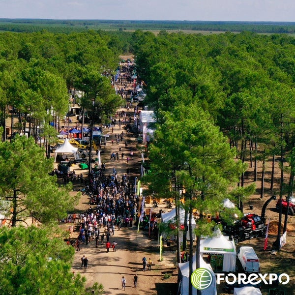 Forexpo 2025 in Mimizan, June 18-20